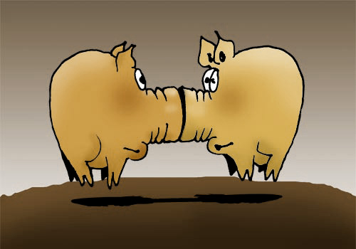 Schweine-Illustration